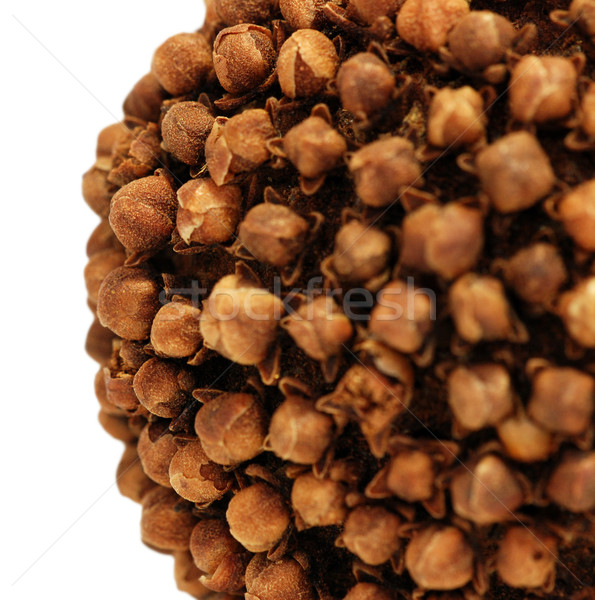 Closeup detail of clove and orange pomander Stock photo © sarahdoow