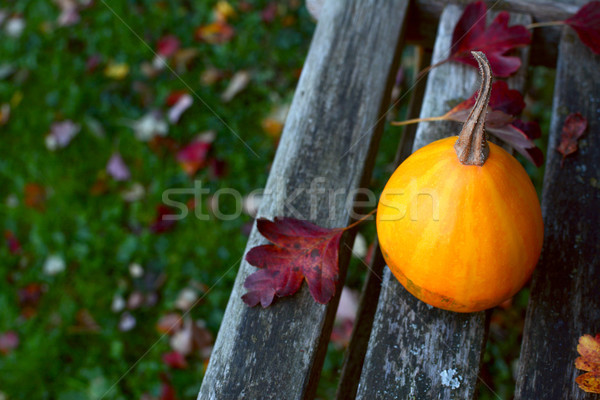 Smooth pear bicolour ornamental gourd on a wooden bench Stock photo © sarahdoow