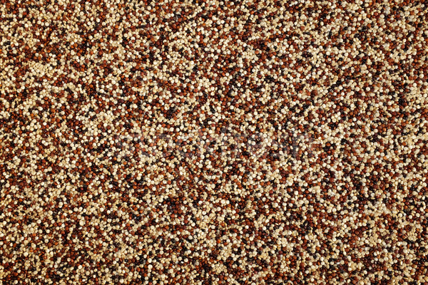 Mixed red, white and black quinoa background  Stock photo © sarahdoow