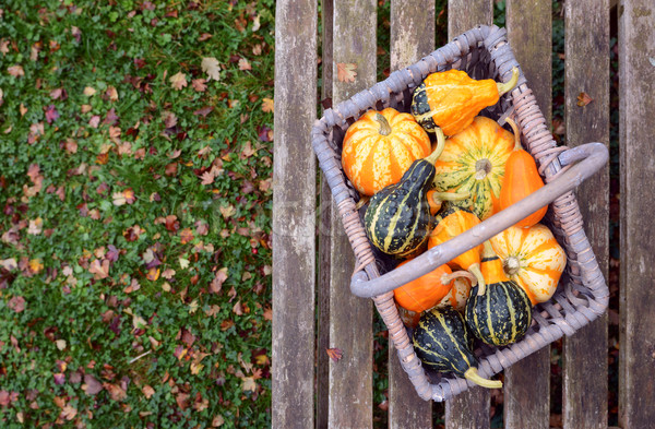 Orange, green and yellow ornamental gourds in a basket Stock photo © sarahdoow