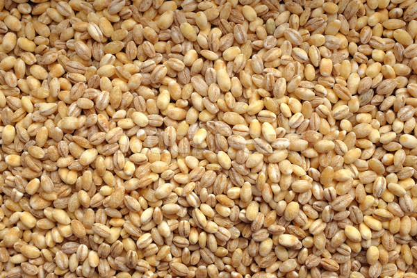 Pearl barley background Stock photo © sarahdoow