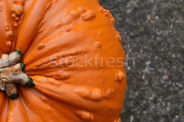 Close crop of deep orange warty pumpkin  Stock photo © sarahdoow