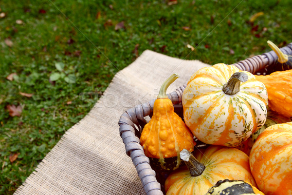 Boldly coloured and patterned gourds in a basket Stock photo © sarahdoow
