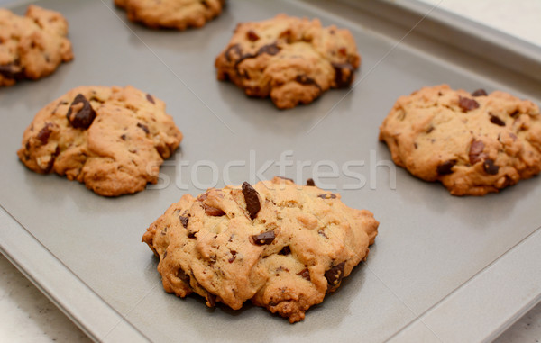 Freshly baked chocolate chunk and pecan nut cookies Stock photo © sarahdoow