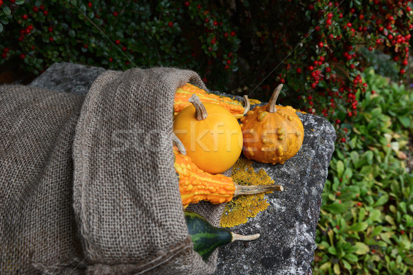 [[stock_photo]]: Toile · de · jute · sac · automne · jardin · texture