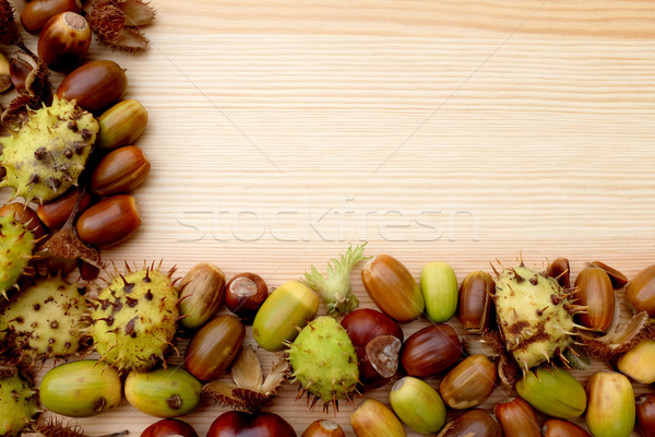 Two-sided frame of natural fall material - horse chestnuts, acor Stock photo © sarahdoow