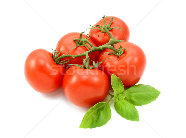 Stockfoto: Tomaten · wijnstok · vers · basilicum · bladeren · vijf