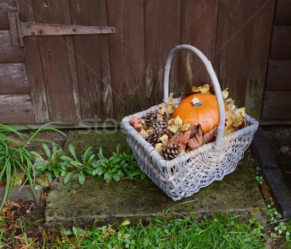 Stock photo: Basket with pumpkin, dry leaves and fir cones on a rustic step