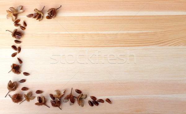 Stock photo: Beech nuts and empty nut shells, half border on wood