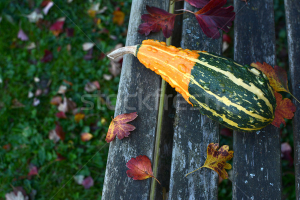 Long, warty orange and green ornamental gourd on weathered bench Stock photo © sarahdoow
