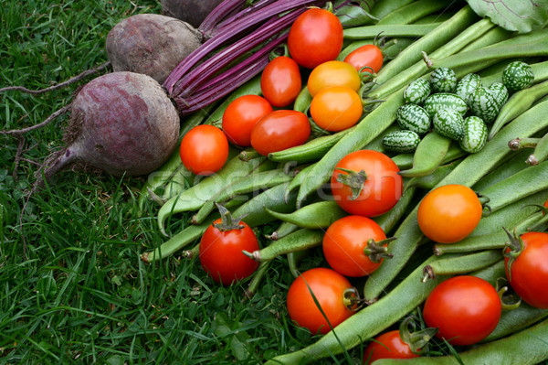 Foto stock: Legumes · raiz · de · beterraba · tomates · corredor · feijões