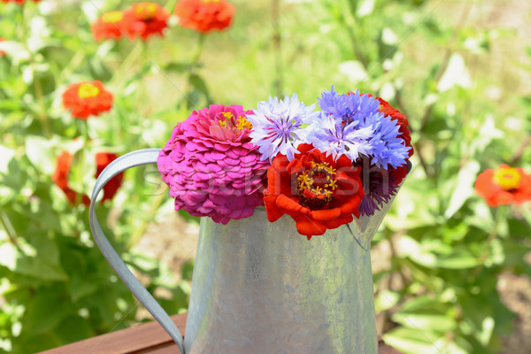 Foto stock: Buquê · flores · metal · crescente · flor · natureza