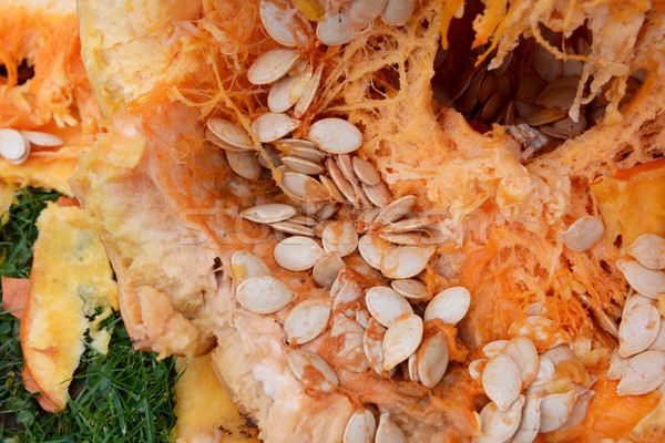 Numerous oval pumpkin seeds among stringy flesh Stock photo © sarahdoow
