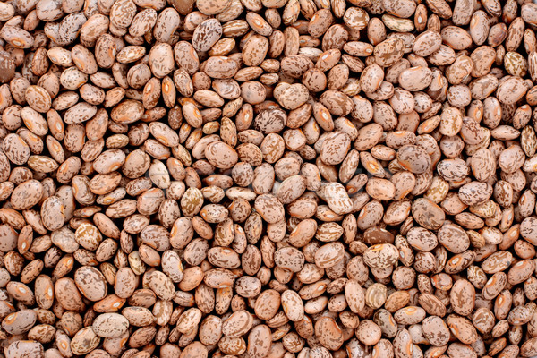 Pinto beans background Stock photo © sarahdoow