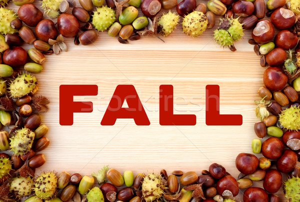 Stock photo: FALL written on wood with border of beechnuts, conkers, acorns