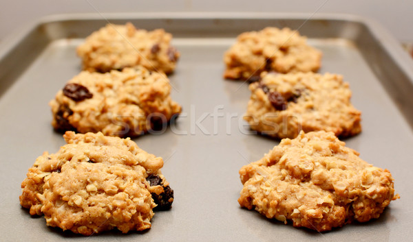 Haferflocken Rosine Cookies Kühlung Blatt Stock foto © sarahdoow