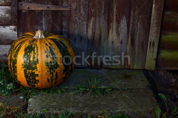 Large pumpkin on a step by a wooden door Stock photo © sarahdoow
