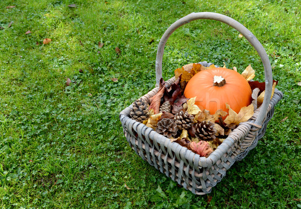 Stock photo: Rustic basket with pumpkin, fir cones and leaves