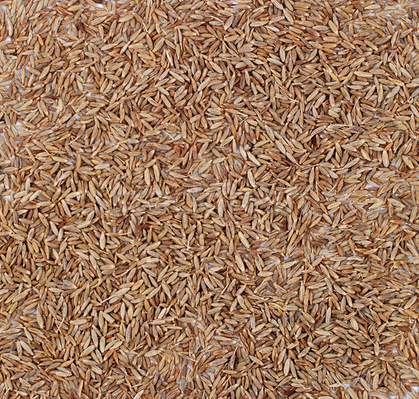 Cominho sementes abstrato textura fundo papel de parede Foto stock © sarahdoow