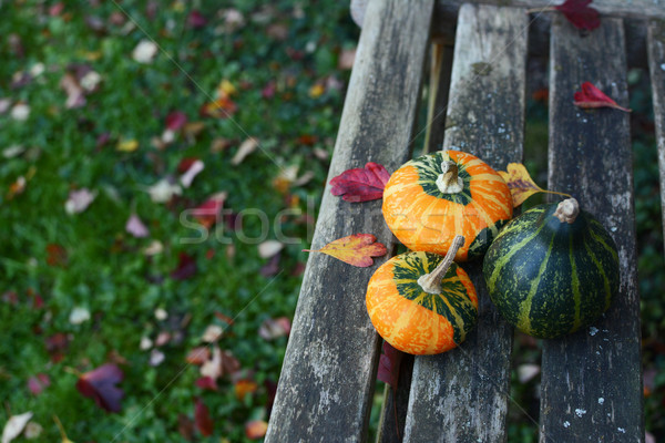 Three small ornamental gourds in an autumnal garden Stock photo © sarahdoow