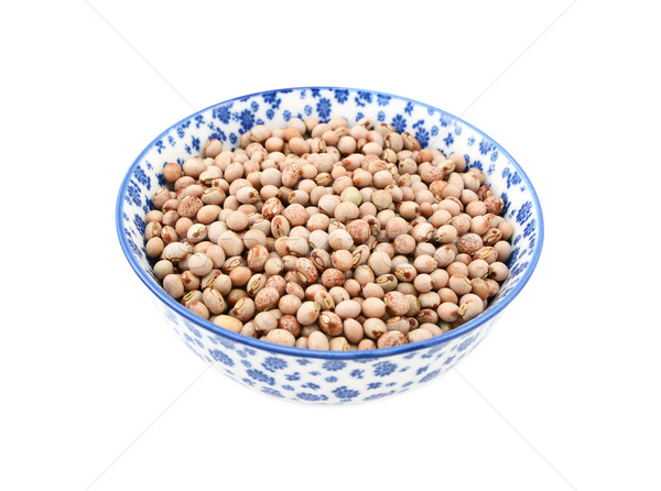 [[stock_photo]]: Pigeon · pois · Chine · bol · bleu · blanche