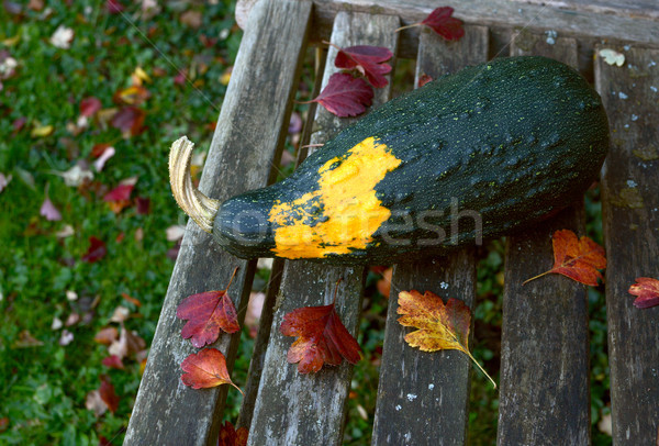 Large ornamental gourd on a bench littered with autumn leaves Stock photo © sarahdoow