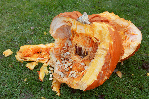 Roughly broken pumpkin pieces Stock photo © sarahdoow