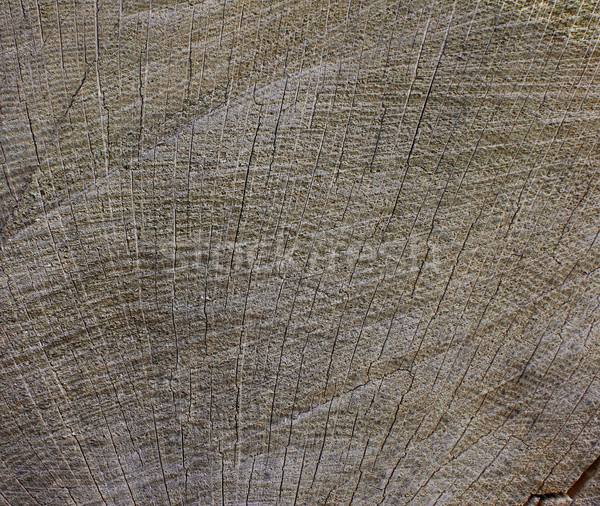 Foto d'archivio: Grano · legno · abstract · texture · sfondo · pattern