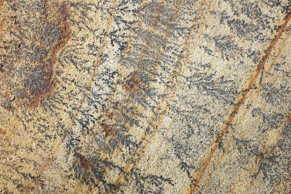 Zandsteen zwarte bruin fossiel mint abstract Stockfoto © sarahdoow