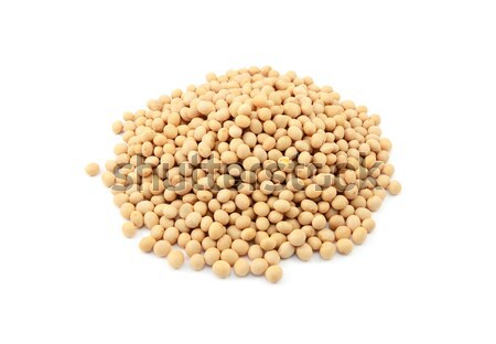 Soybeans, or soya beans Stock photo © sarahdoow