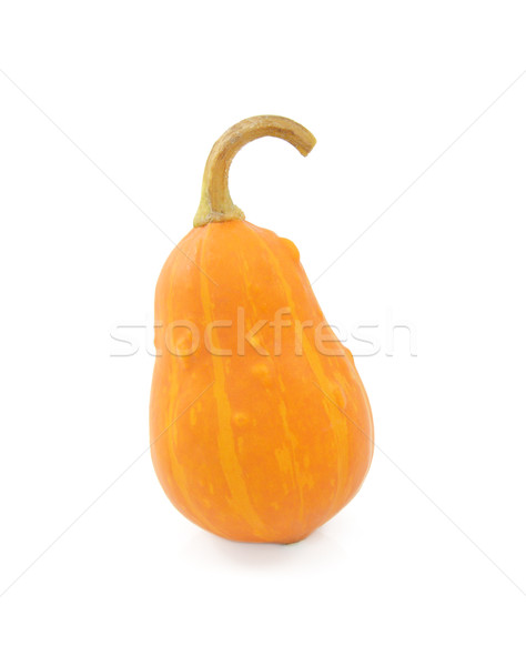 Pear-shaped orange ornamental pumpkin Stock photo © sarahdoow