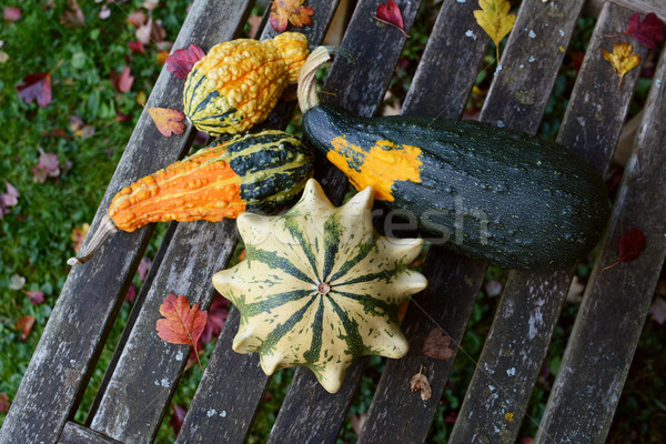 Ornamental gourds in different shapes and colours among autumn l Stock photo © sarahdoow