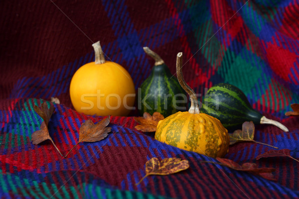 Assorted yellow and green gourds with leaves on plaid fabric Stock photo © sarahdoow