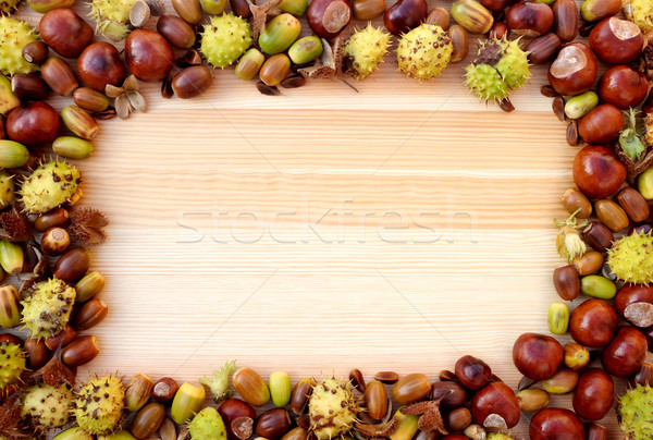 Autumn detritus border of beechnuts, conkers and acorns on wood Stock photo © sarahdoow