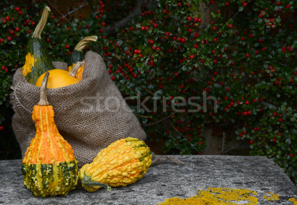 Burlap sack of ornamental gourds and warty squashes  Stock photo © sarahdoow