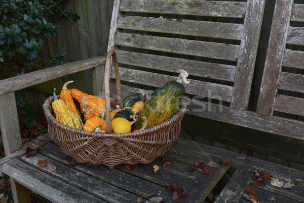 Woven basket with ornamental gourds on a wooden bench Stock photo © sarahdoow