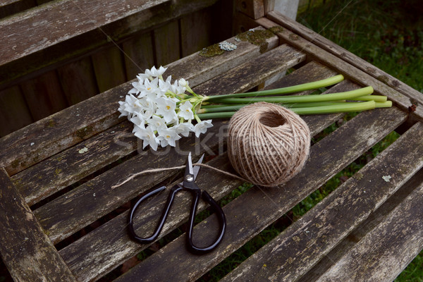 Flower scissors cutting twine, next to a bunch of narcissi Stock photo © sarahdoow