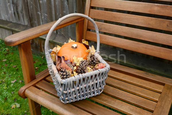 Stock photo: Basket with pumpkin, leaves and fir cones on a bench