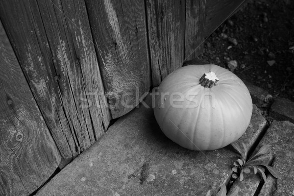 Stock photo: Ripe pumpkin by a weathered door
