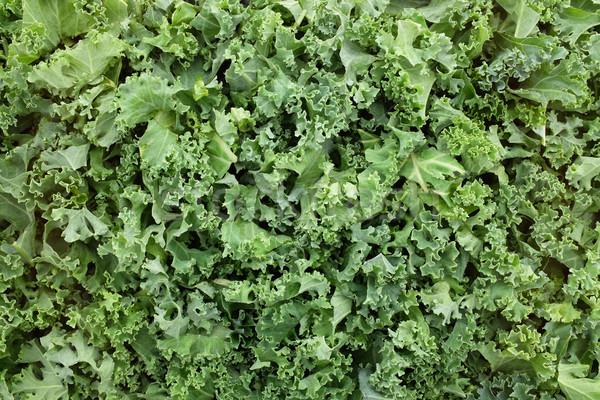 Shredded kale leaves background Stock photo © sarahdoow