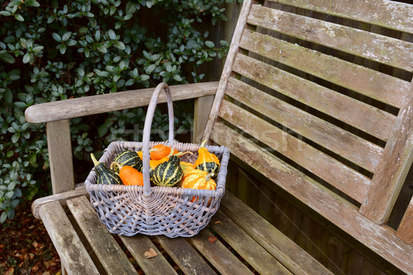 Woven basket full of orange, green and yellow ornamental gourds Stock photo © sarahdoow