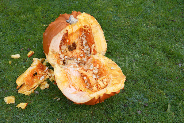 Large pumpkin, roughly hacked into two halves Stock photo © sarahdoow