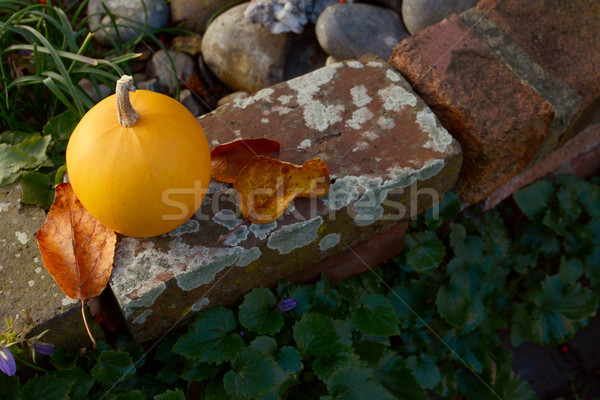 Autumn leaves and orange gourd on weathered brick wall Stock photo © sarahdoow