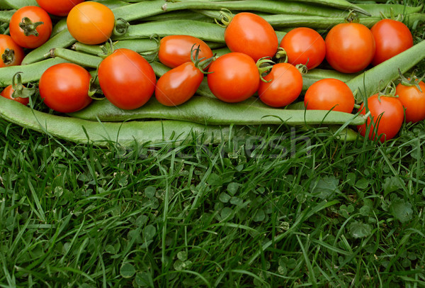 Row of red tomatoes on runner beans Stock photo © sarahdoow