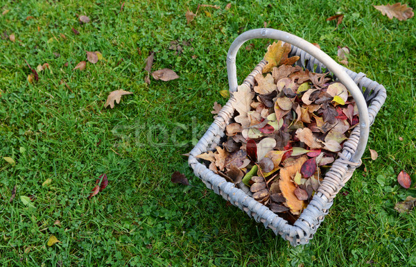 Woven basket of fall leaves on grass Stock photo © sarahdoow