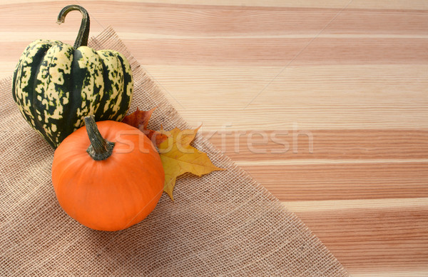 Harlequin and small orange pumpkin with maple leaves Stock photo © sarahdoow