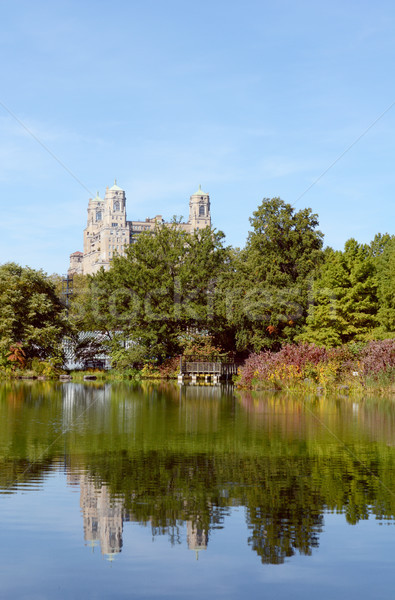 [[stock_photo]]: Tortue · étang · Central · Park · ensoleillée · automne · jour