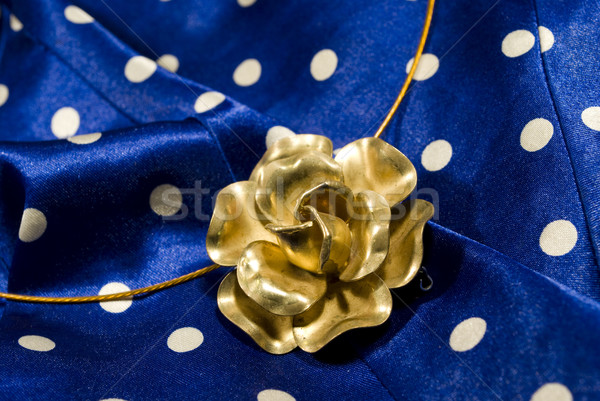 Antyczne mosiądz kwiat naszyjnik moda niebieski Zdjęcia stock © Sarkao