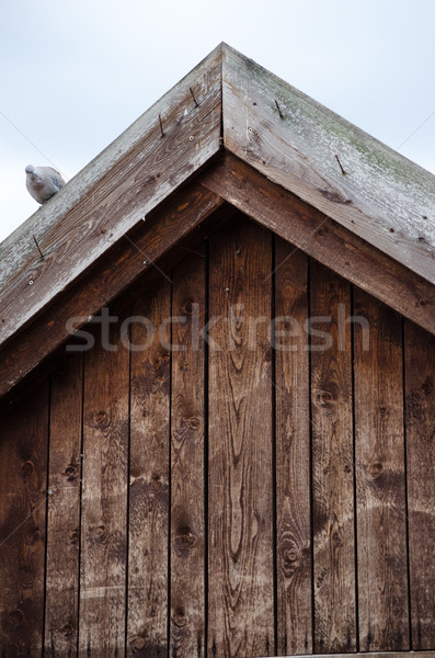 穀倉 農場 鴿子 棕色 細節 商業照片 © Sarkao