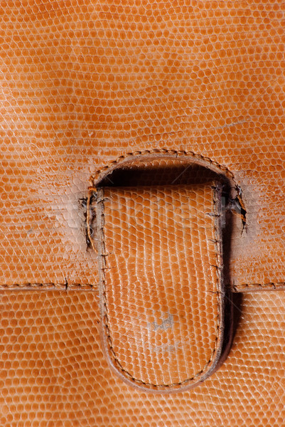 old snake leather detail Stock photo © Sarkao